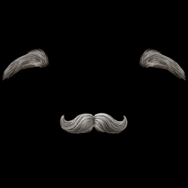 ヒゲとまゆ（ほんわか）の画像2