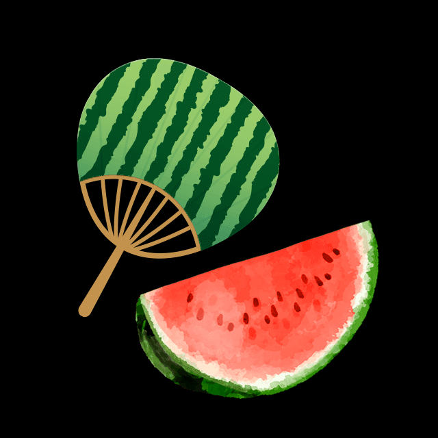 スイカセットの画像2