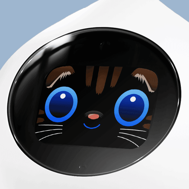 スコティッシュフォールド（ブラウン）の画像1