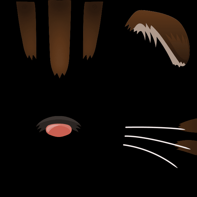 スコティッシュフォールド（ブラウン）の画像2