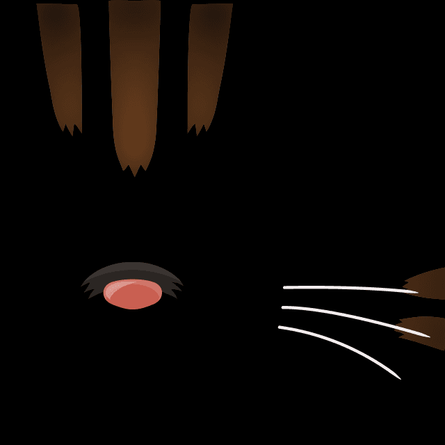 スコティッシュフォールド耳なし（ブラウン）の画像2