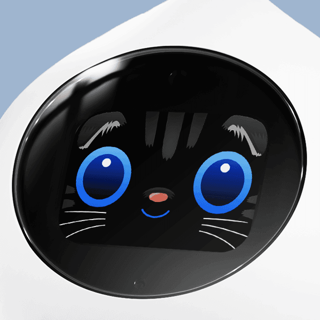 スコティッシュフォールド（グレー）の画像1