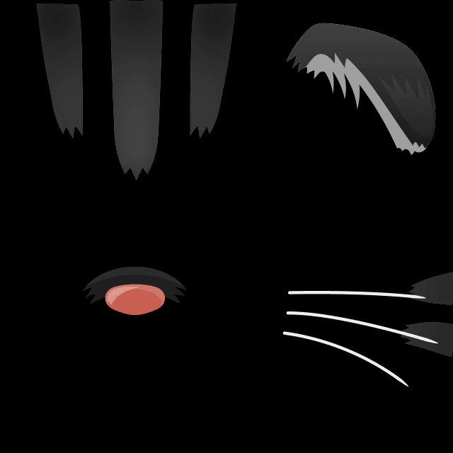 スコティッシュフォールド（グレー）の画像2