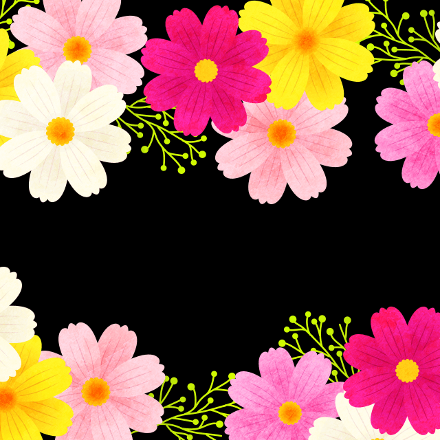 カラフルコスモスの画像2