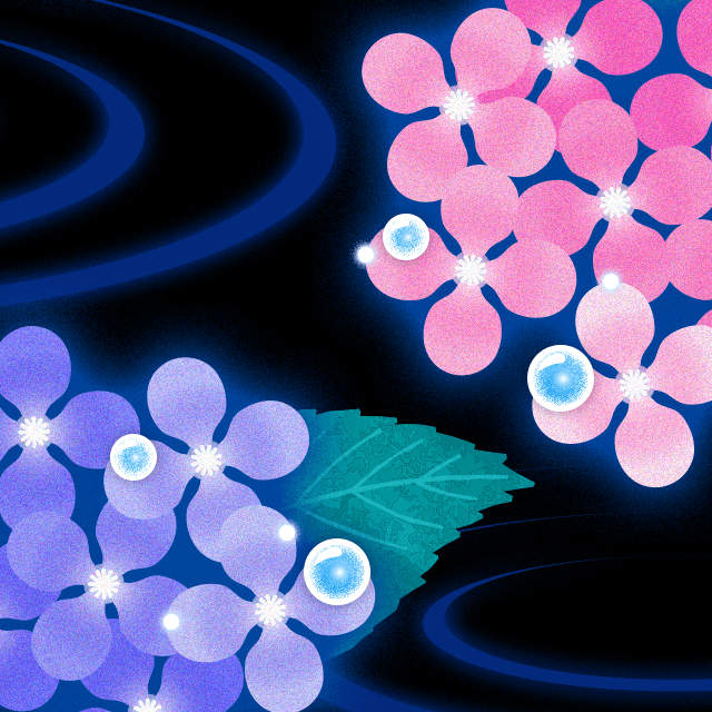雨に濡れた紫陽花の画像2