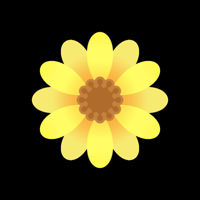 マーガレットの花（黄）の画像2
