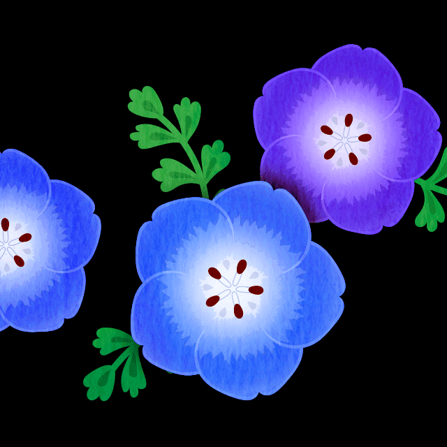 ネモフィラのじゅうたんの画像2