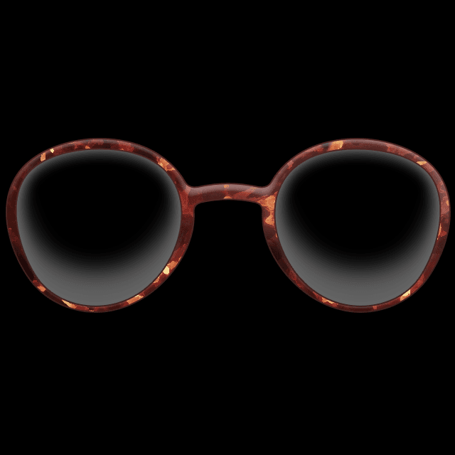 ベーシックめがね（べっこう）の画像2