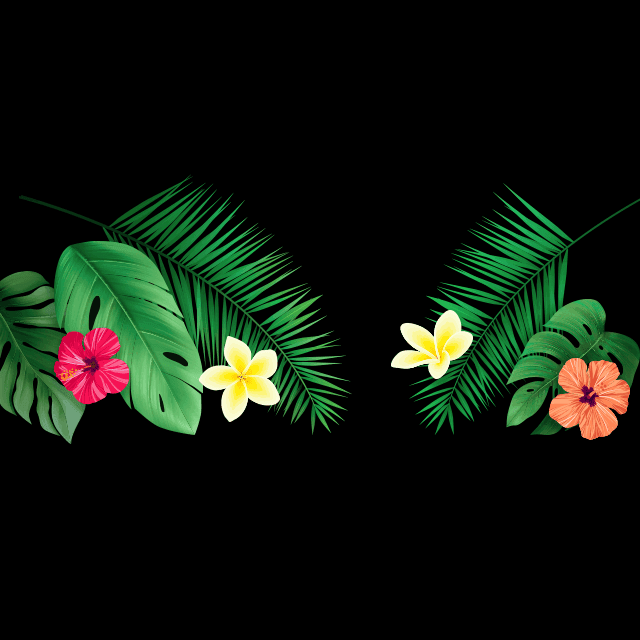 南国の葉の画像2