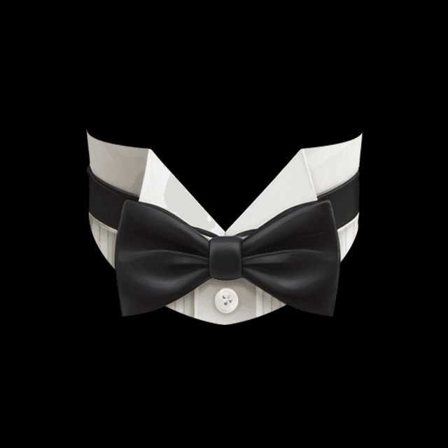 きちんと執事えりの画像2